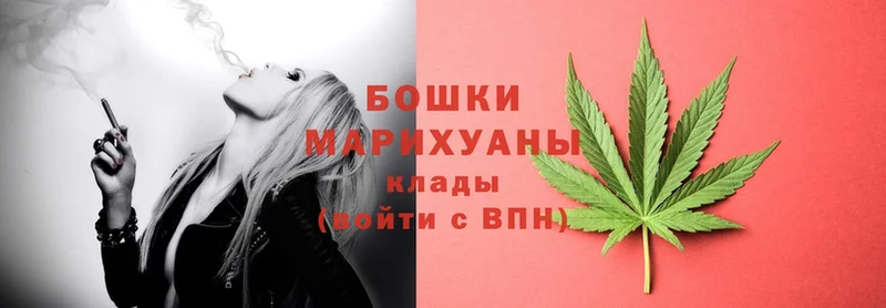 купить   Западная Двина  Канабис Ganja 